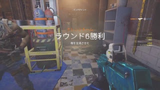 R6s