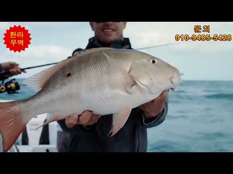 PENN Spinfisher VI SSVI 9500 - 10500//구매는 아래 링크에 있습니다.↓↓↓