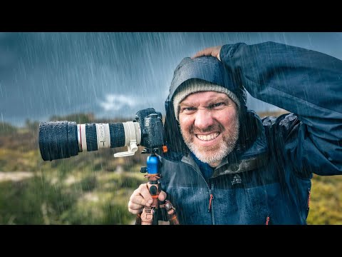 I Wasn't Ready for What the Rain Revealed…