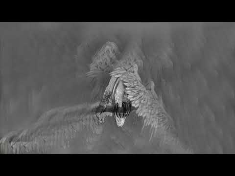 Danuta Wawiłow - Strzygi