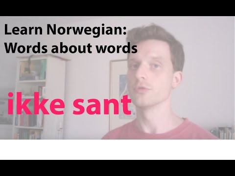Words about words: ikke sant