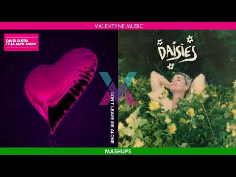 David Guetta ft. Anne Marie vs. Katy Perry - Don't Leave Daisies Alone (KP's Bday Tribute Mashup)