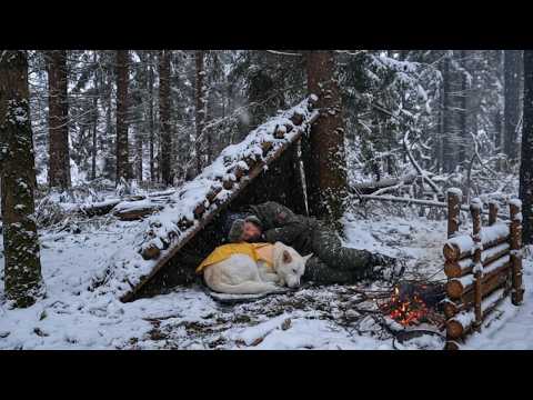 2 Days Surviving a Brutal Blizzard with My Dog | Hot Tent Winter Camping