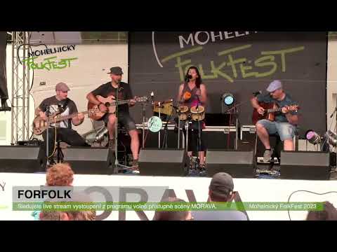 ForFolk - Blues o dešti Robin Hill / Václav Hrabě