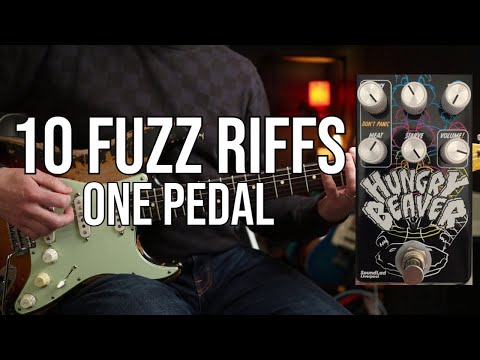 Top 10 Fuzz Riffs from ONE Pedal | Hungry Beaver by Soundlad Liverpool
