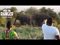 Giraffe And Elephants At The Camp Waterhole Zebra Plains Safari Amboseli