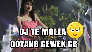 Download lagu VIRAL!!  DJ TE MOLLA VIDEO GOYANG CEWEK MOTOR CB 💯 mp3