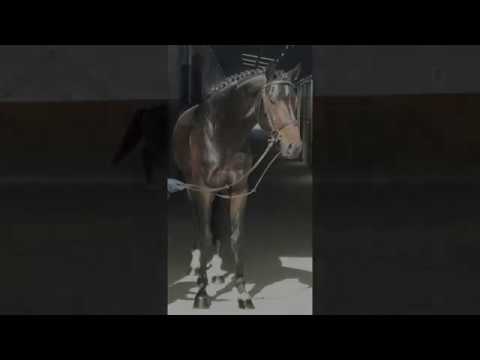 Coober Pedy *2015 Cadeau Noir x Regazzoni