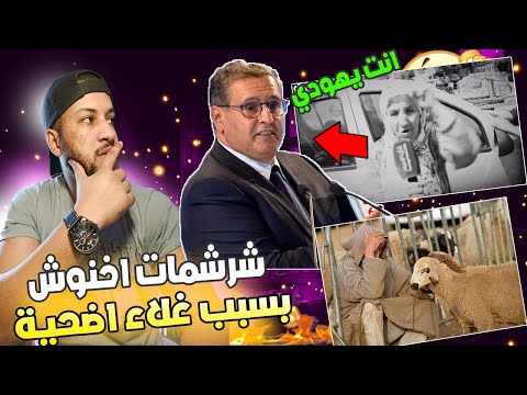 صرخة مسنة مغربية تصف اخنوش باليهودي بسبب غلاء اضحية العيد