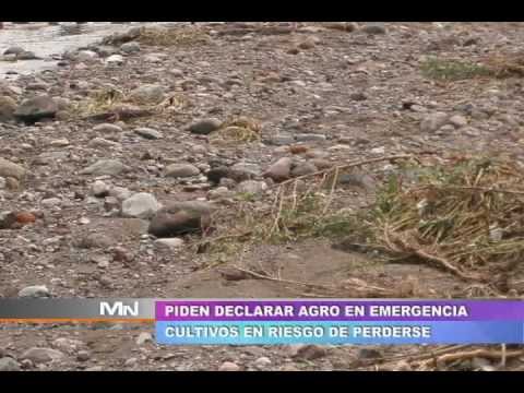 TVMUNDO Arequipa: Piden declarar en emergencia cultivos en riesgo de perderse
