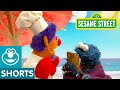 Sesame Street Cookie Relaxes On Pecan Sandy Beach Smart Cookies
