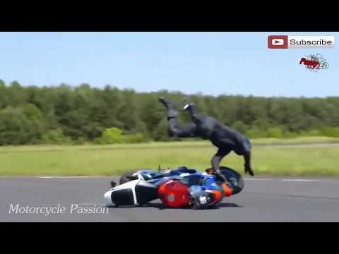 Motorcycle Mishaps Compilation 2016