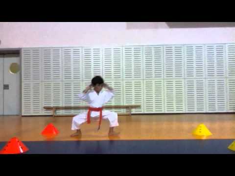 Shiko Dachi exercise (4)