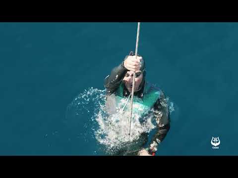 Freediving - 2025 CMAS World Championship Depth - Day 1 CWT Men Highlights