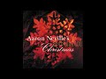 Aaron Neville ~ O Holy Night