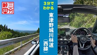 【3分峠】東津野・城川林道(西線) - 四国カルストの大野ヶ原に向かう、走りやすい幹線林道 with NDロードスター をオープンカーで味わう NDロードスター車載動画