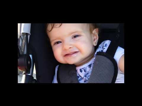 Royallin - Ariana (legendado)