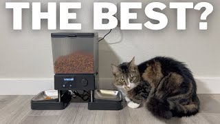 Oneisall Wifi Cat Feeder Review | Best Automatic Cat Feeder On Amazon?