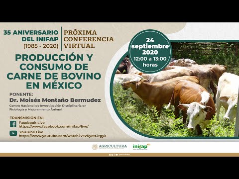 , title : 'Producción y consumo de carne de bovino en México'