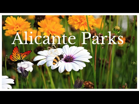 🏞️ The Alicante Sea Park And The Torrent San Vicente Del Raspeig Park!!🌴