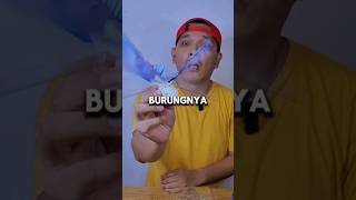 Download lagu Burung mainan tapi bisa terbang beneran mp3 Download lagu Burung mainan tapi bisa terbang beneran mp3