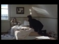 Louis Bertignac Oubliez-Moi 1993
