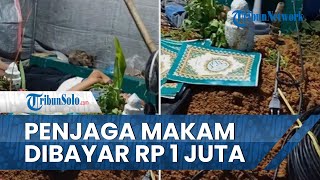 Viral Kisah di Balik Pria Jadi Penjaga Makam di Kalimantan Selatan, Dibayar Rp 1 Juta per Hari