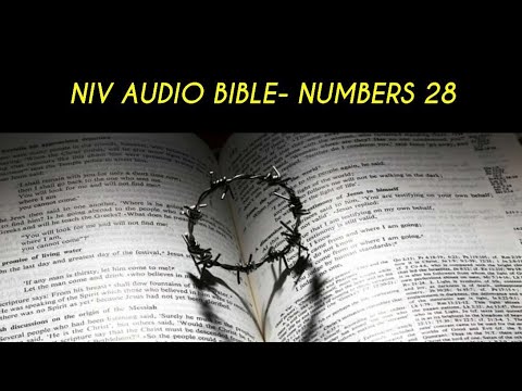 NUMBERS 28 NIV AUDIO BIBLE (with text)