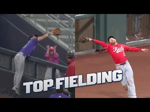 Top Fielding Plays! 🤯 (CRAZY dives, home run robberies AND MORE!)