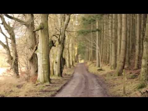 Hailey Calvert- Running Until the Road Runs Out- [OFFICAL VIDEO]