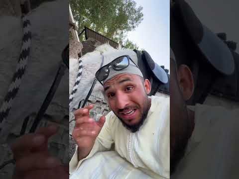 اش بانليكوم ،هاد المعلومه صحيحه ولا لا 🤔🤔 #اكسبلور #americanbully #americanbully #marocas #دويتو