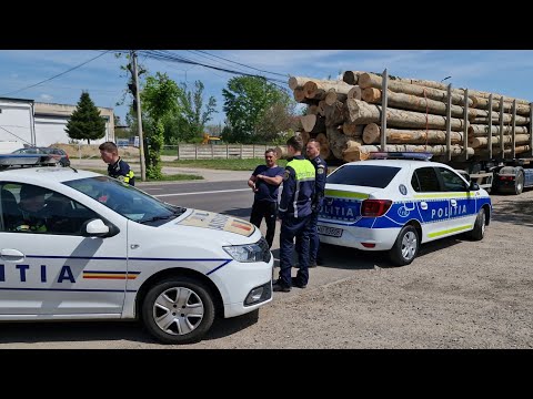 Zi neagră cu camion confiscat pentru mafia lemnului ! Poliția 112 și ISCTR-ul în acțiune !