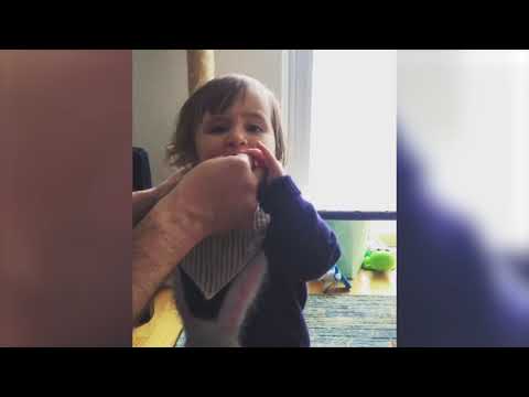 Toddler Eats Cat Food Instead of Feeding Cats