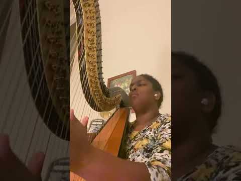 Promotional video thumbnail 2 for A Mountain Laurel Melody