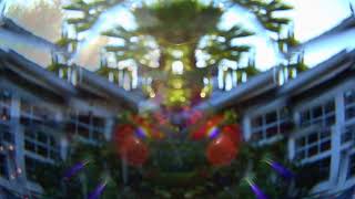 Download lagu SUN ROTATION MEDITATION (2026) mp3