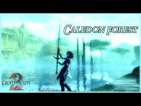 Guild Wars 2 - Caledon Forest Longplay 100% Walkthrough 4k (No Commentary)