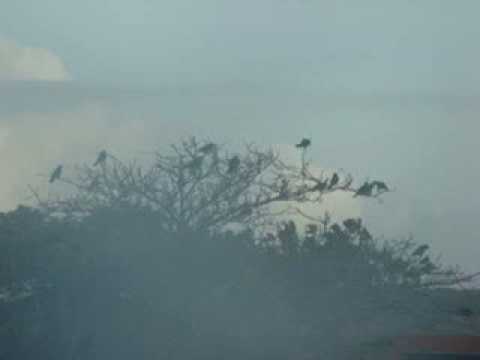 Bonaire Beach Resort Dutch Caribbean Lora