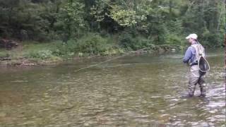 preview picture of video 'Dry Fly Fishing at Big Bend Farm with Albemarle Angler'