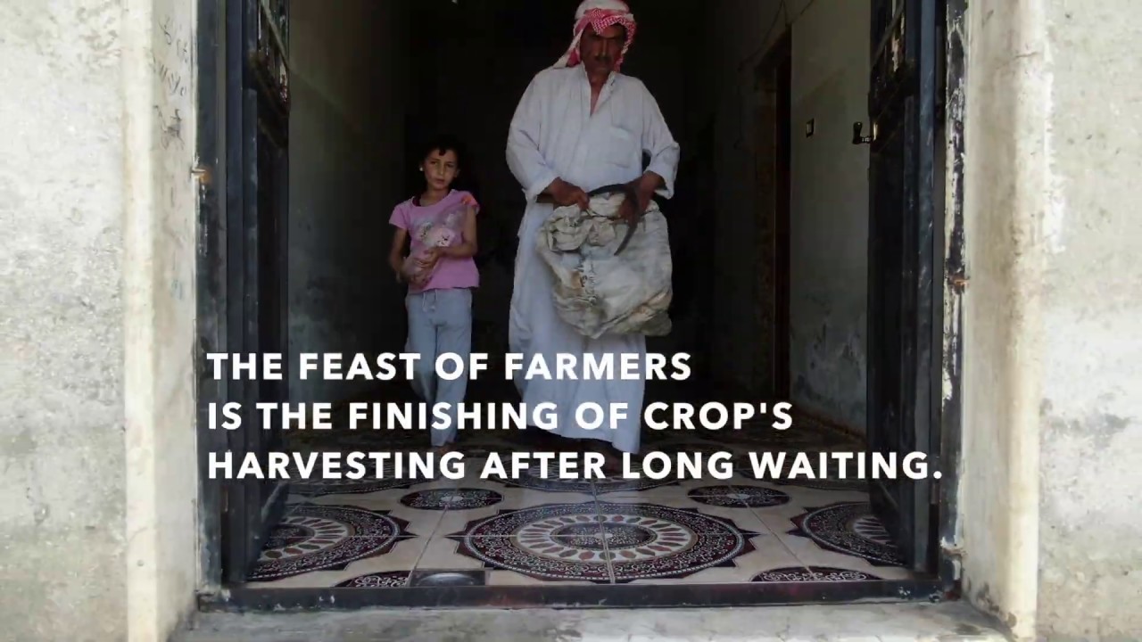 1000 Farmers harvested 5000 donum of wheat crop in 18 different villages in Al-Rouj valley