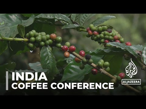 India hosts coffee conference as producers affected by climate change