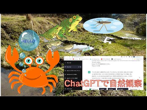 学校教育課程 棚田の生き物続々登場！おたまじゃくし，アメンボ，さわがに。ChatGPTで，生き物調査！便利です。棚田の水が，枯渇寸前でしたが，何とか復活！4つ目の棚田作成に挑戦しました。疲れた心に安らぐ動画です。