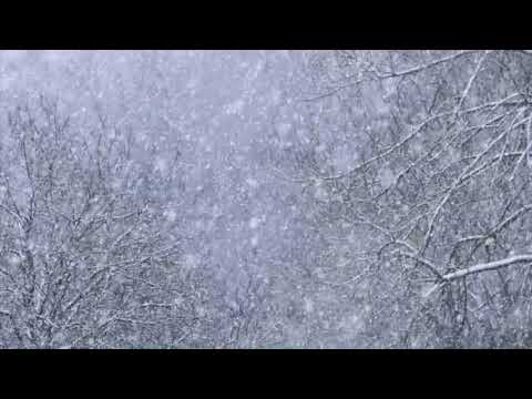 [Free Samples] Trap Melody Loop Kit For Producers - Free Loops 2020 | Fire Sample Pack Free