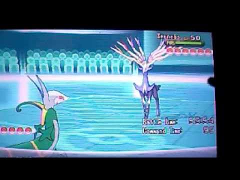 Random Wifi battle Pokemon X and Y #1
