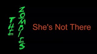 The Zombies - She&#39;s Not There  ( lyrics )