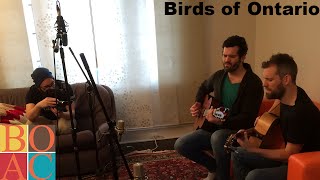 Band on a Couch - Birds of Ontario