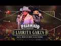 Lalo Mora Ft Raúl Hernández / Palomazo Norteño : Laurita Garza ( Video Oficial )