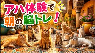 【脳トレで認知機能アップ】毎朝の脳活で健康習慣を！