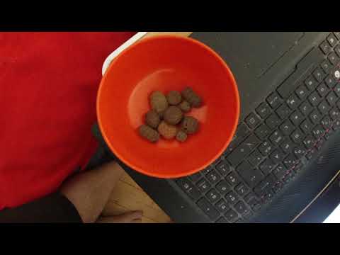 MongoTV_6248 - MIN ANDERS AND BLAD SAMLING - Del 44 - Anders And År 1984