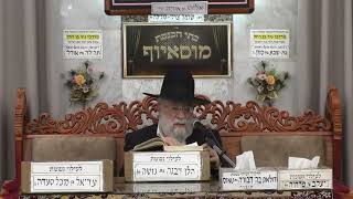 הרב אהרון ירחי | הלכות | מוסאיוף (בית הכנסת מוסאיוף - ערוץ חדש) - התמונה מוצגת ישירות מתוך אתר האינטרנט יוטיוב. זכויות היוצרים בתמונה שייכות ליוצרה. קישור קרדיט למקור התוכן נמצא בתוך דף הסרטון