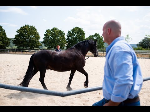 Altano Testimonial - Experience report from a horse clinic (EN)